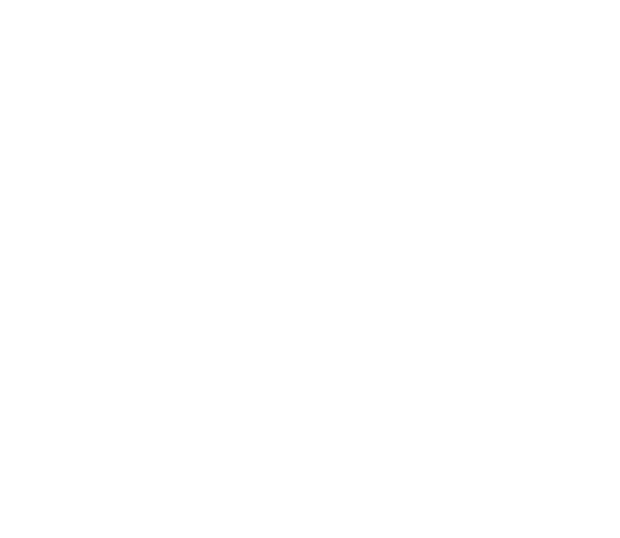 GAMON Integral Services